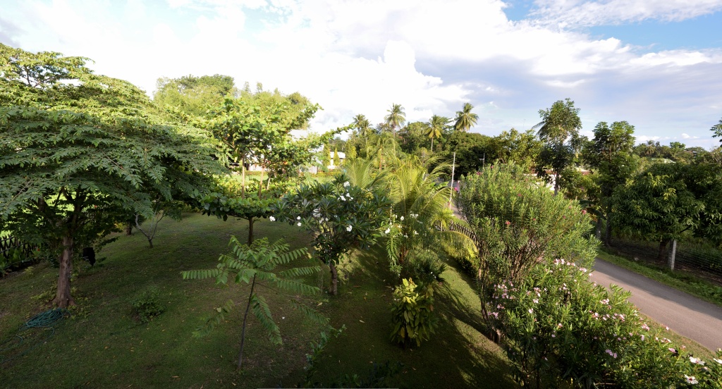 panorama from garden of Argao house on Cebu island